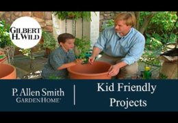 Kid Friendly Garden Projects and Ideas