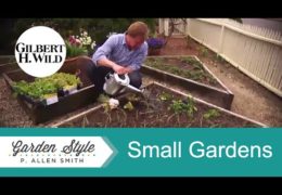 Ideas for Small Home Gardens