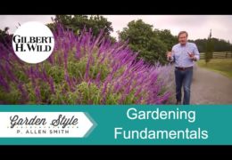 Fundamentals of Gardening