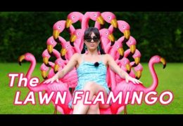 History of the Pink Plastic Lawn Flamingo