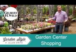 Tips for Shopping at a Garden Center