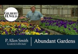 Tips and Ideas for Creating an Abundant Garden