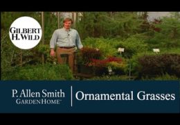 Gardening with Ornamental Grasses