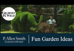 How to Add Fun and Whimsy to the Garden