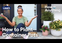 How to Plant Container Pots and Decorate a Front Porch