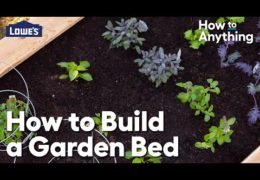 How to Build a Raised Garden Bed