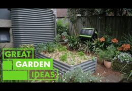 Basics of Sustainable Gardening