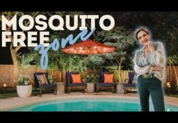 Tips for Creating a Mosquito Free Backyard