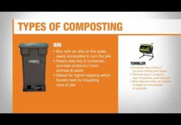 How to Choose a Composting Bin for Your Home