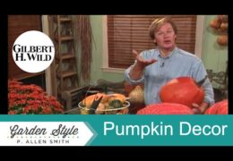 Growing and Decorating with Pumpkins